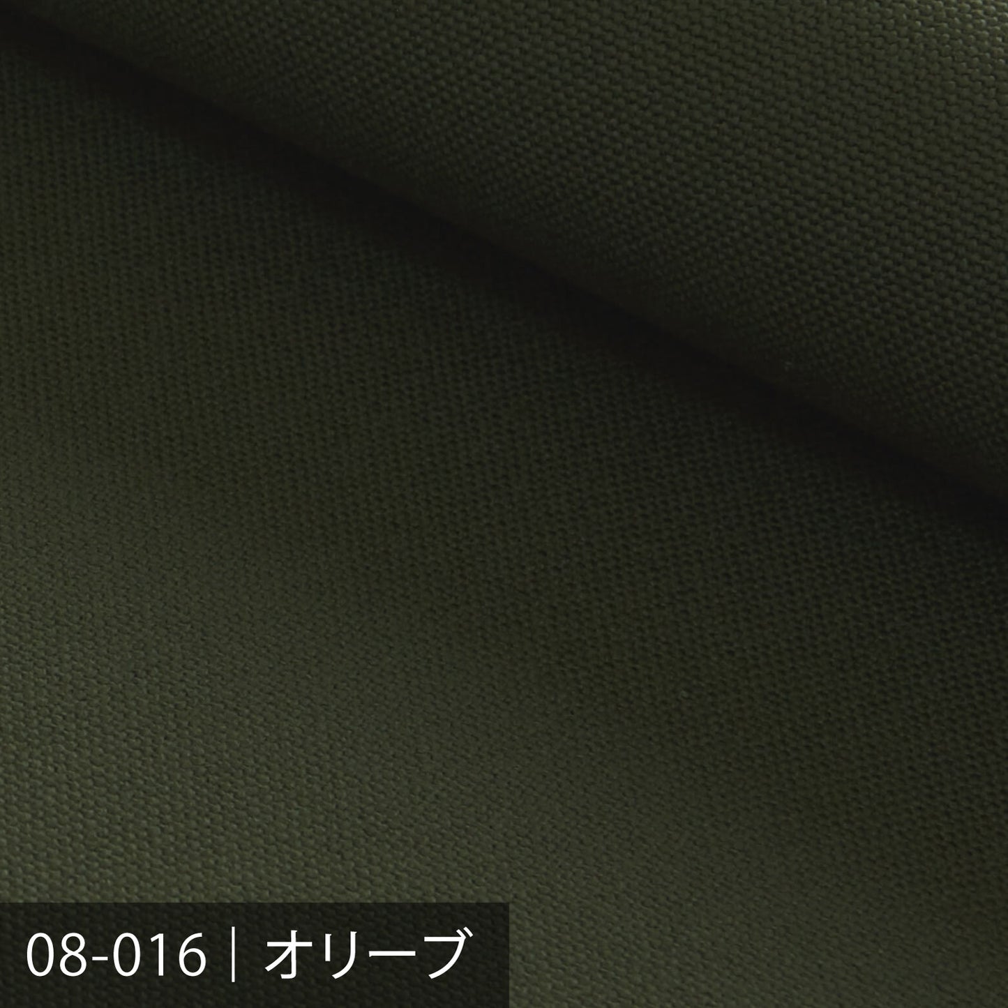 8号帆布/グリーン系