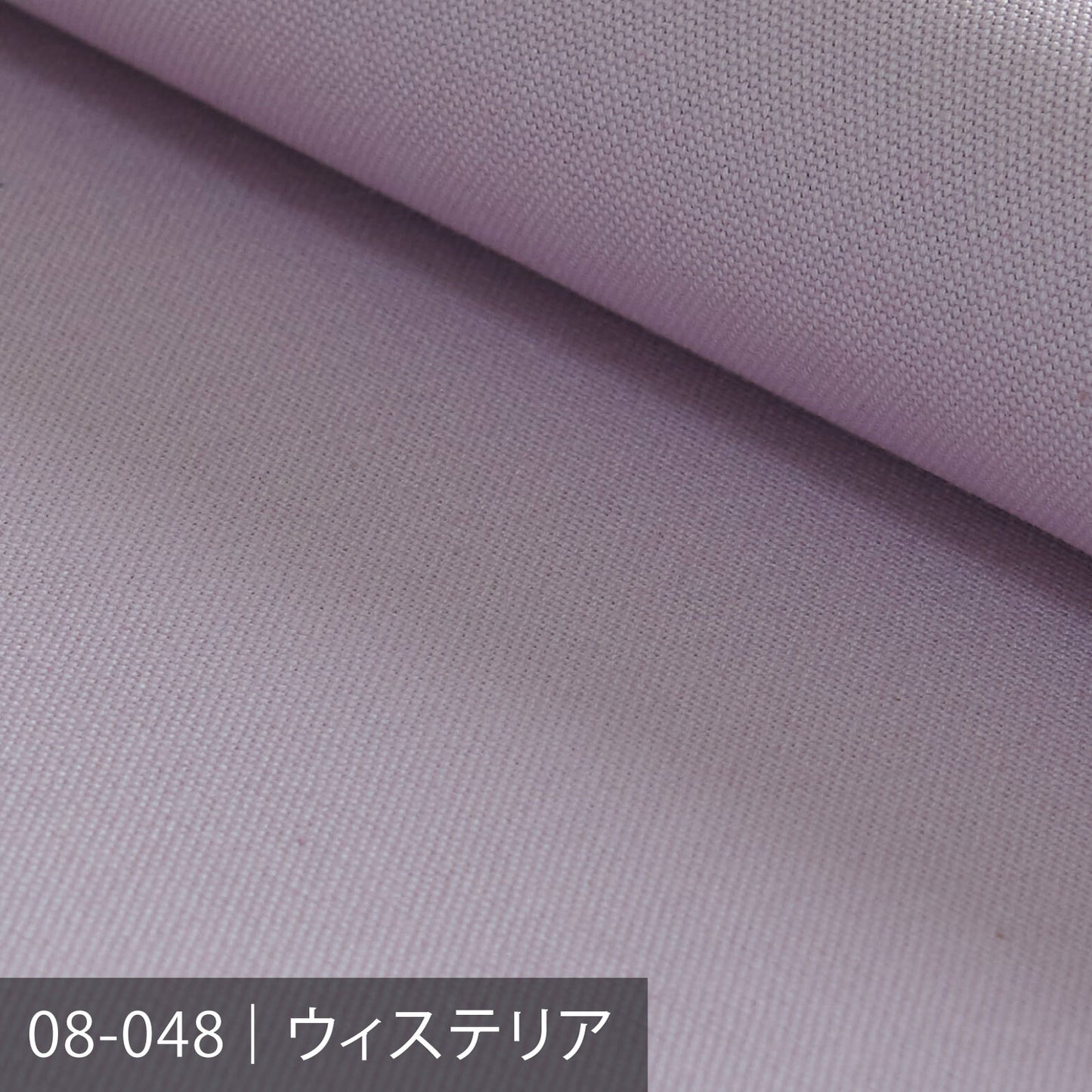 8号帆布/パープル系