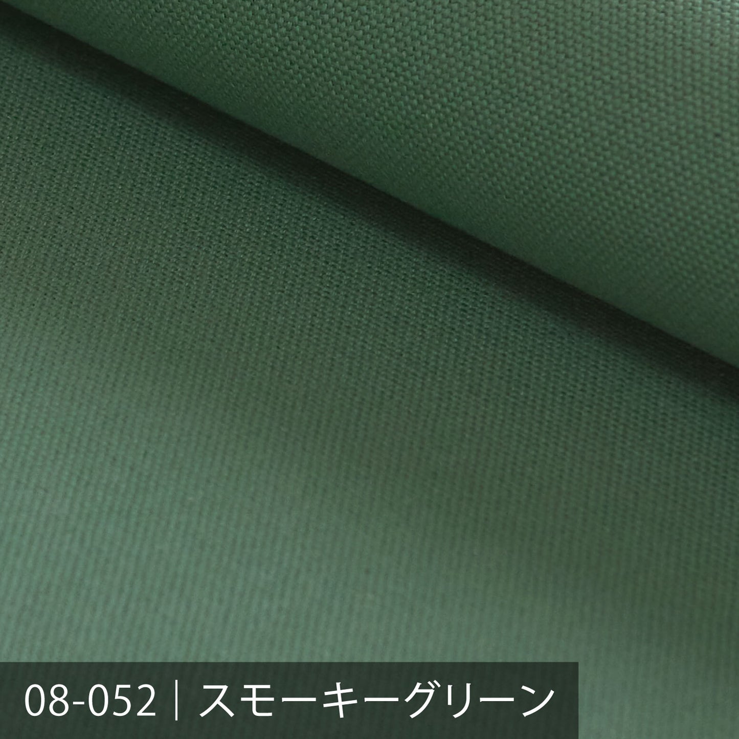 8号帆布/グリーン系