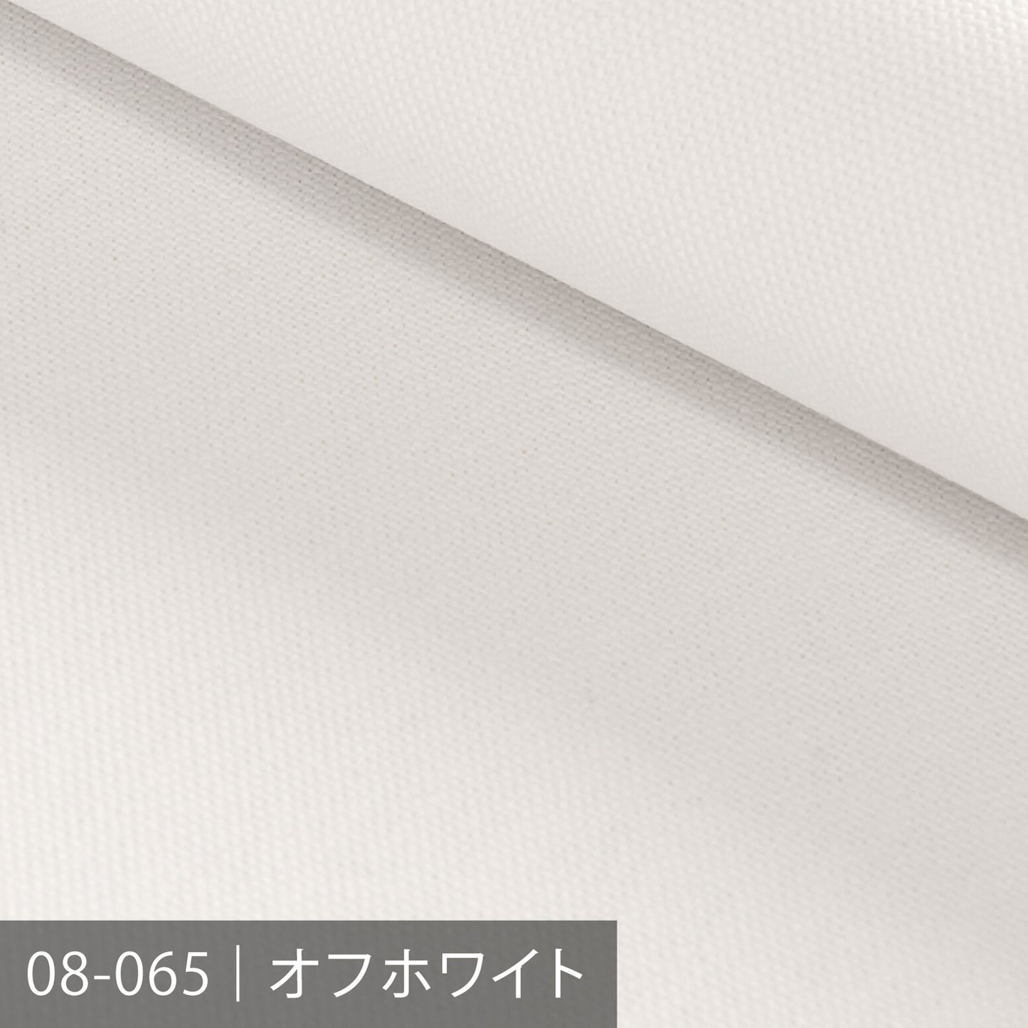 8号帆布 /キナリ・ベージュ系