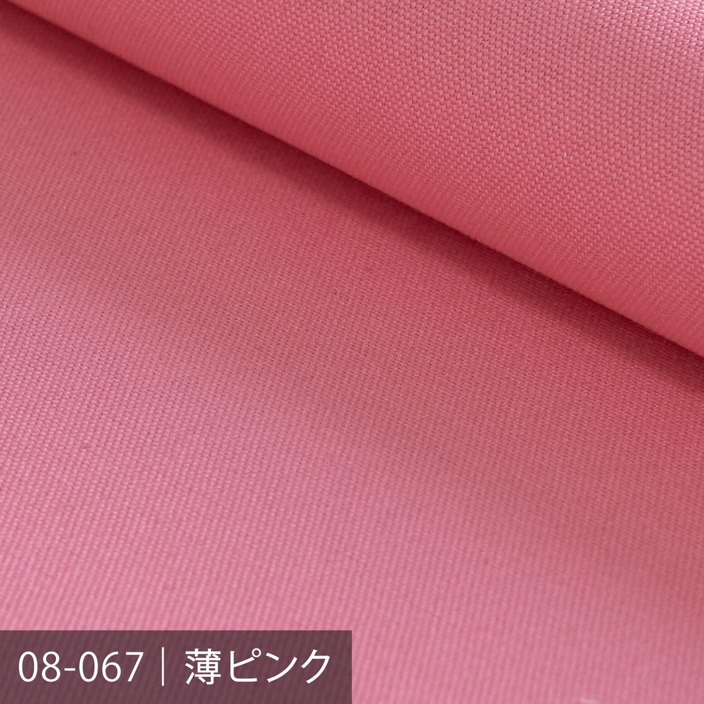 8号帆布/レッド系
