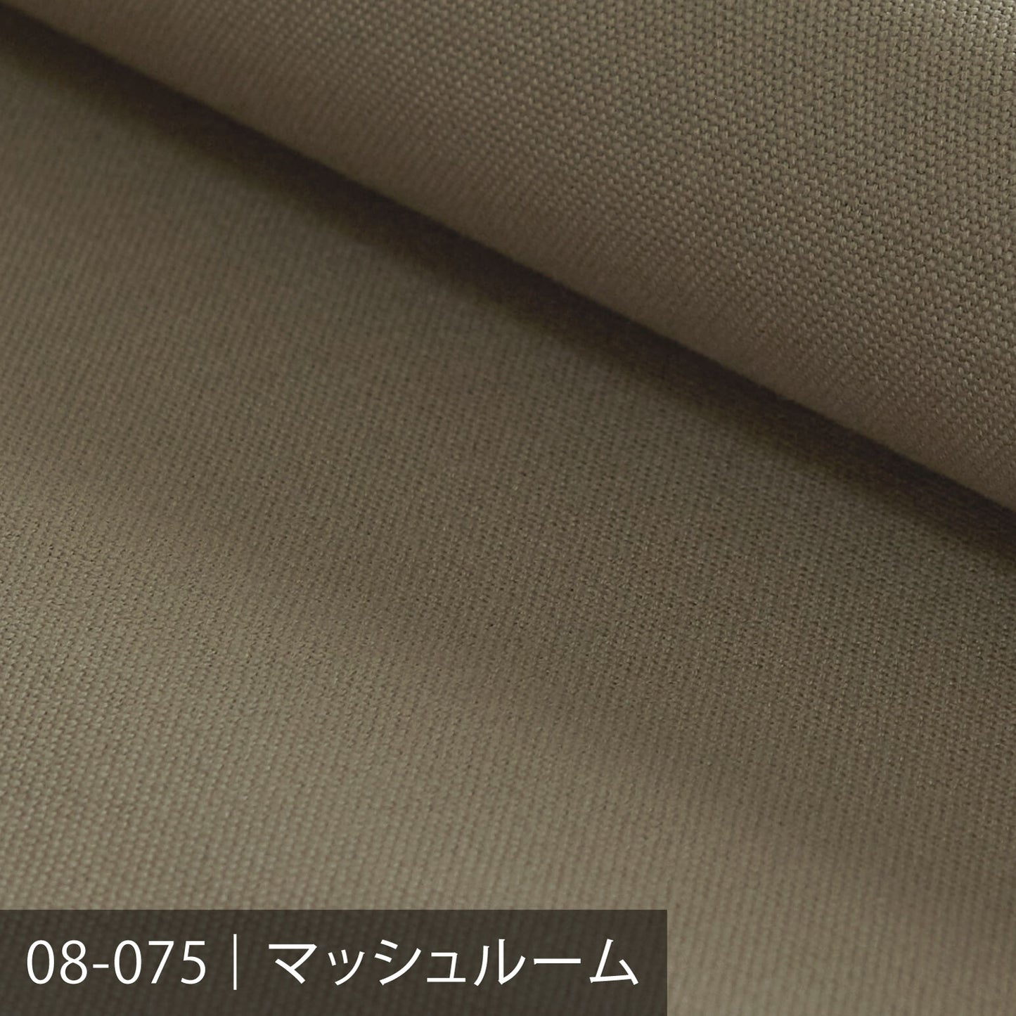 8号帆布 /キナリ・ベージュ系