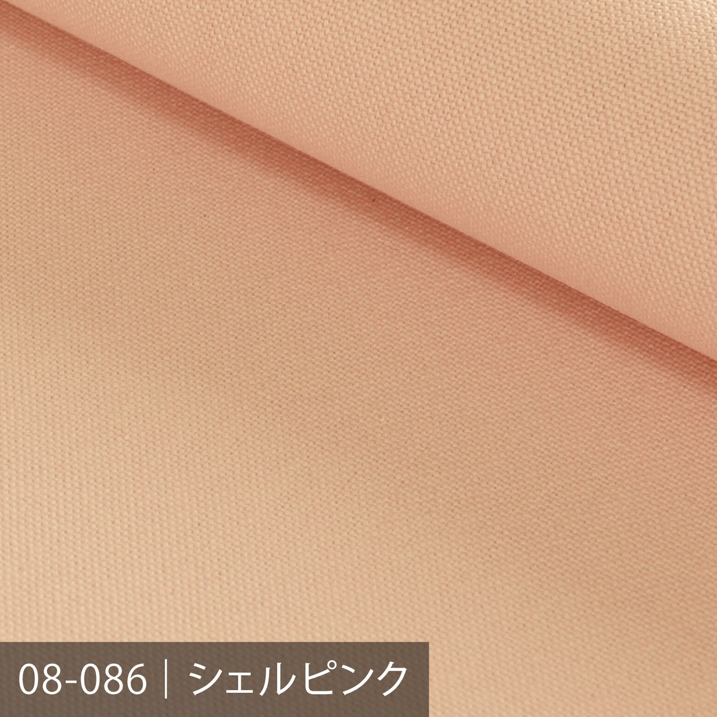 8号帆布/レッド系