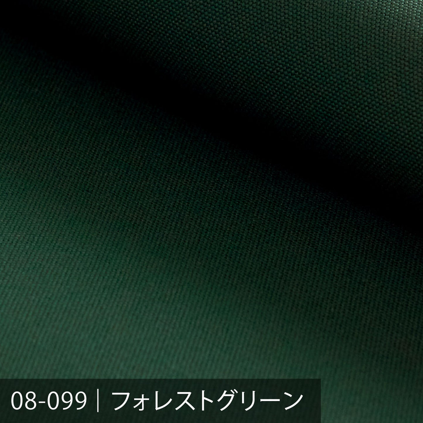 8号帆布/グリーン系