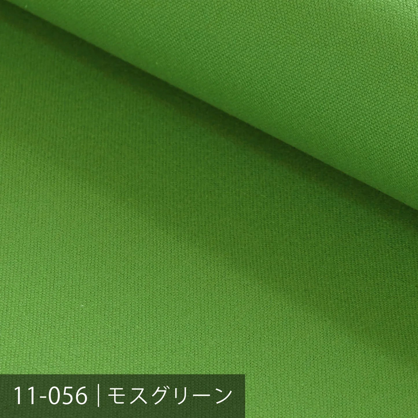 11号帆布／グリーン系