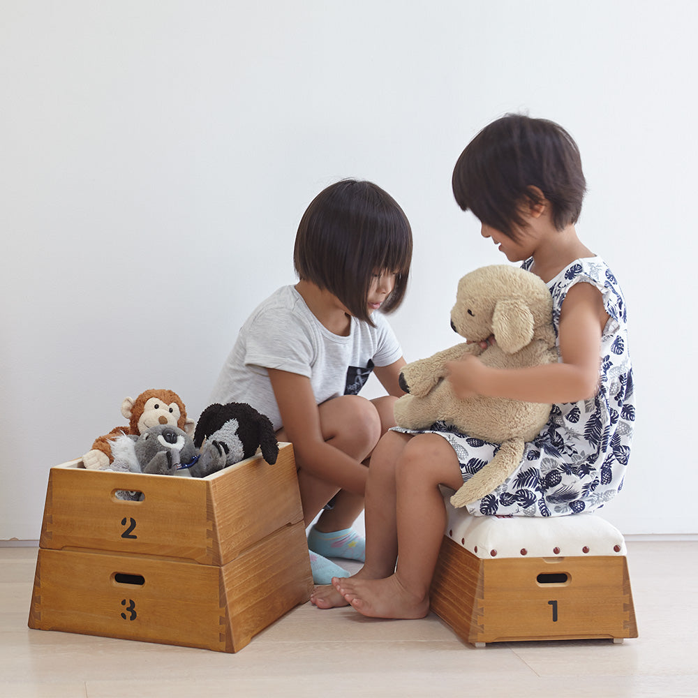 とび箱BOX おもちゃ箱5段