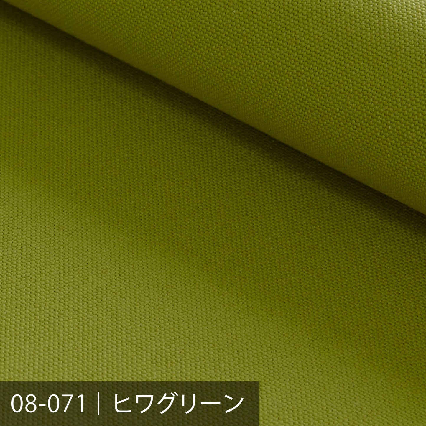 8号カラー帆布 50m巻 ／100色展開 グリーン系