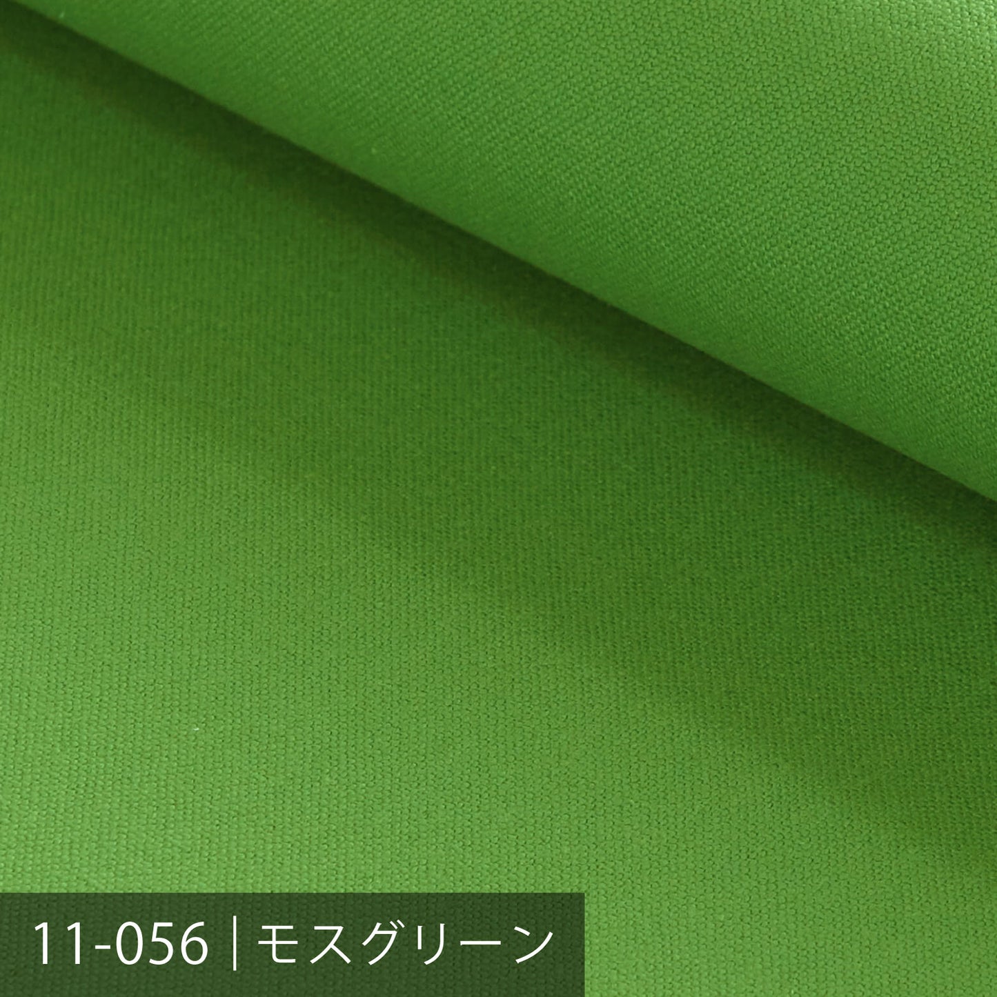 11号カラー帆布 ／40色展開 グリーン系